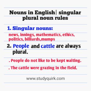 nouns in english-singular and plural nouns examples - STUDYQUIRK